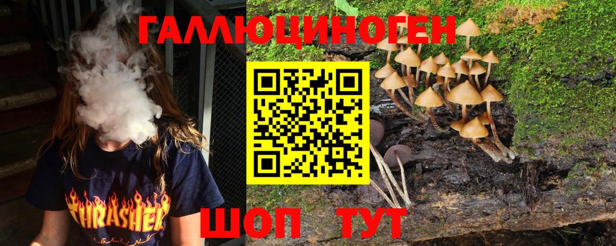 Псилоцибиновые грибы GOLDEN TEACHER  Вход с VPN  Майкоп 